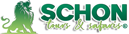Schon Tours & Safaris