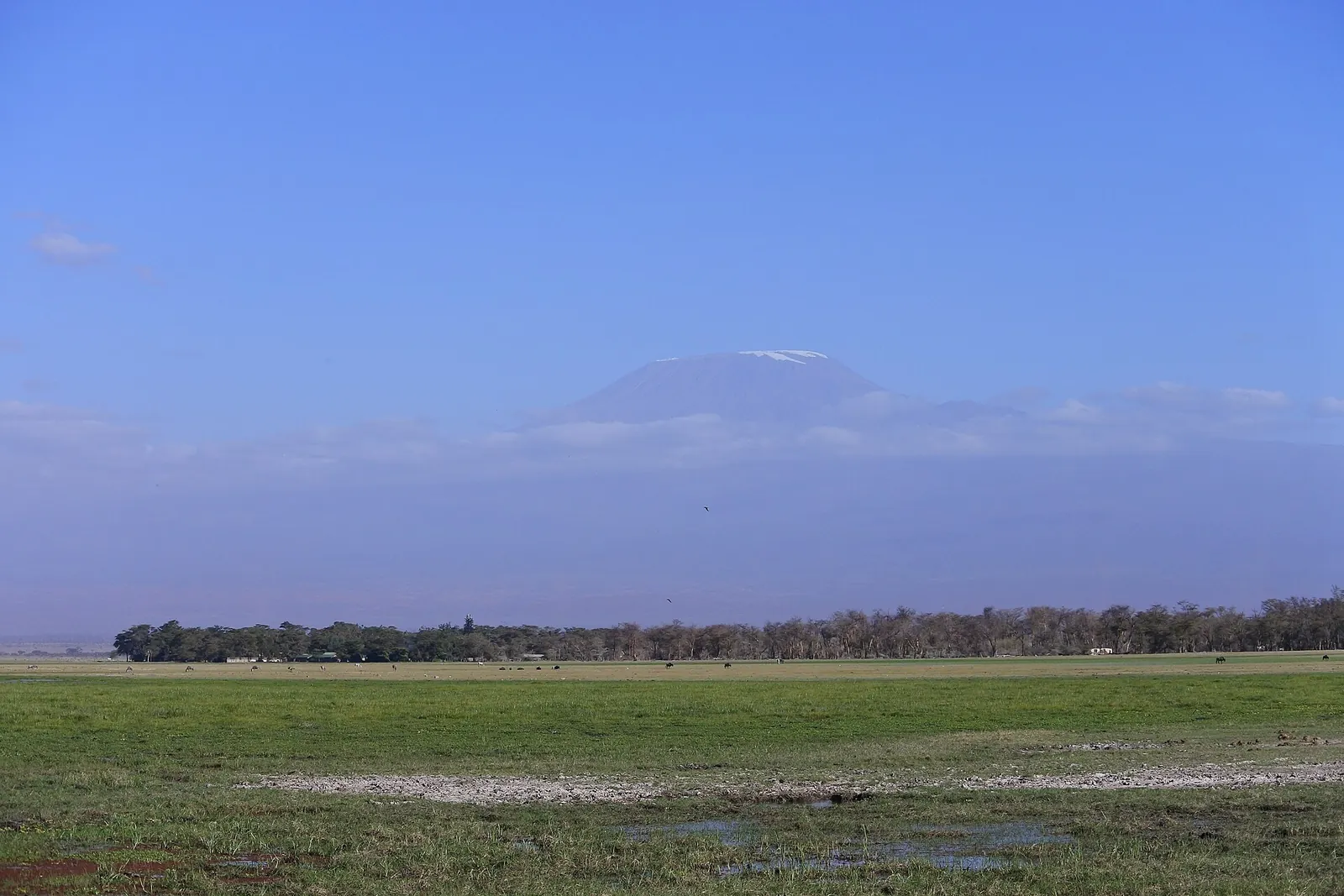 A Complete Guide to Kenya's National Parks