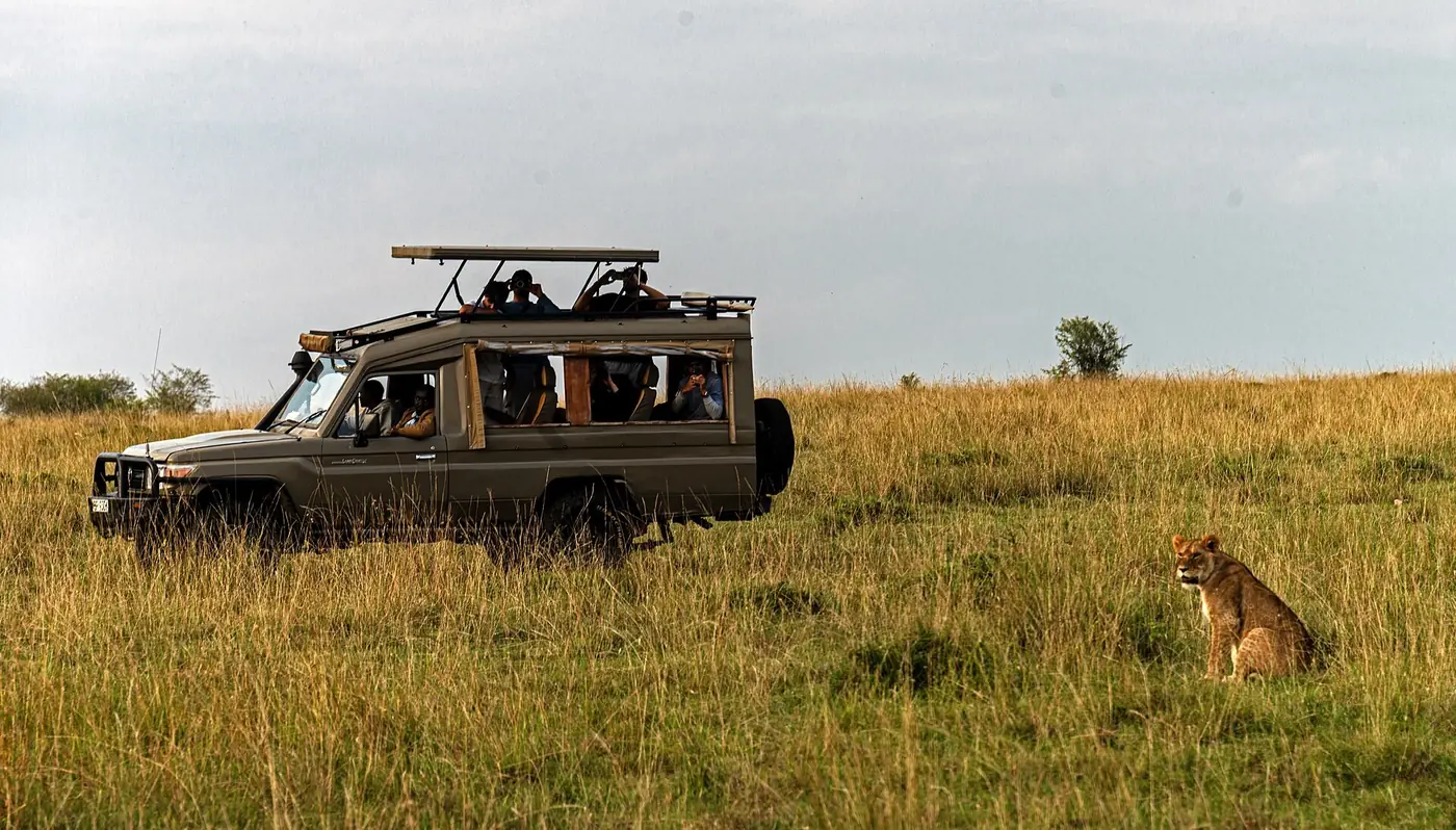 Why Choose a Private Safari vs Group Safari