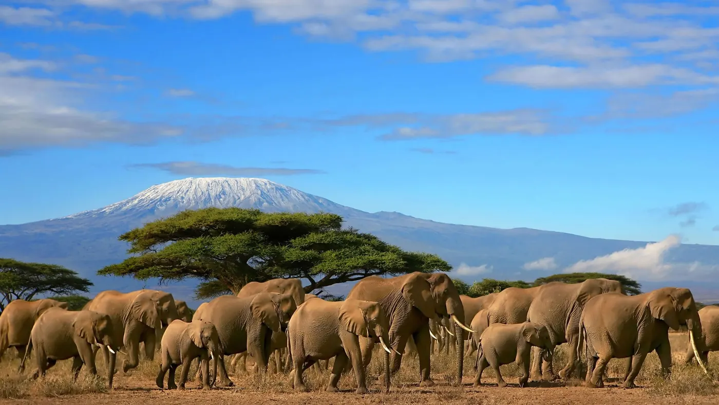 2 Days 1 Night Amboseli National Park