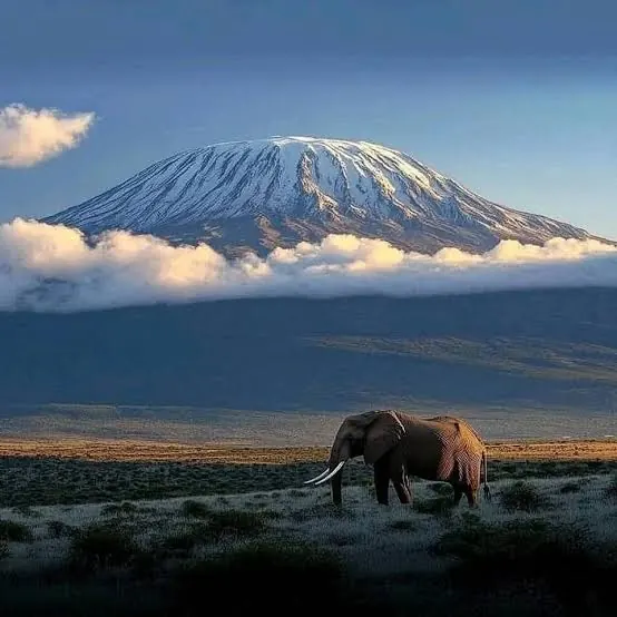 8 Days 7 Nights Kilimanjaro Trekking