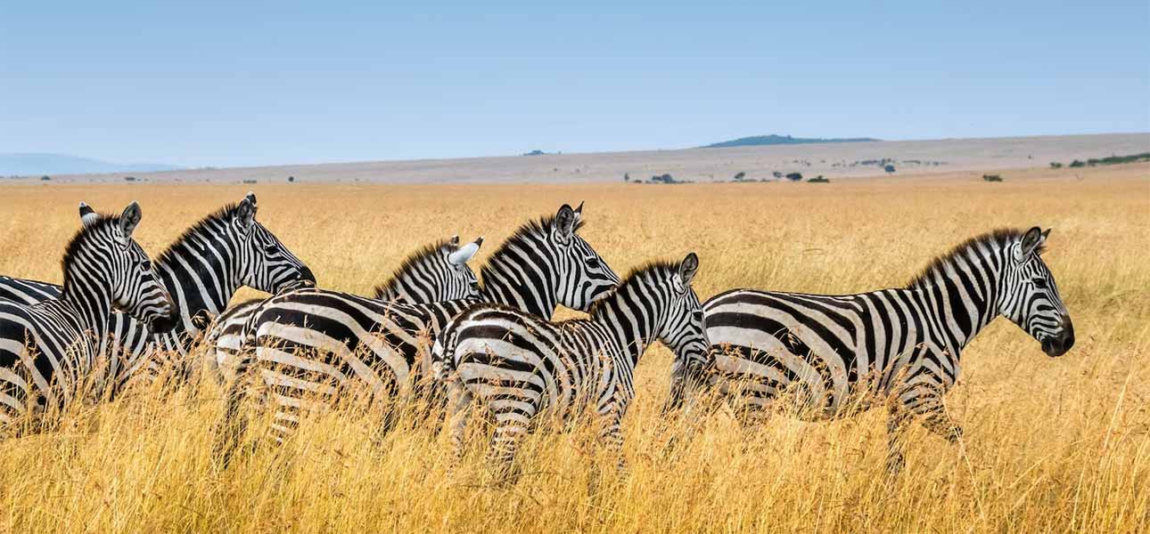 Tanzania