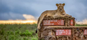 Nairobi City Urban Tour