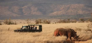 4 Days / 3 Nights Lewa Conservancy Fly-In Safari